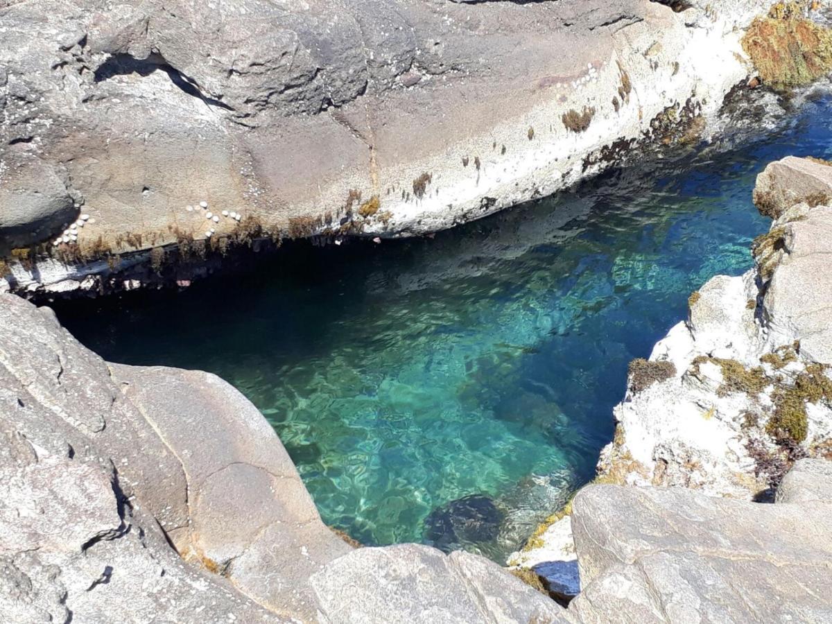 Cabanon La Calanque Du Peninsula Hotell Le Pradet Eksteriør bilde